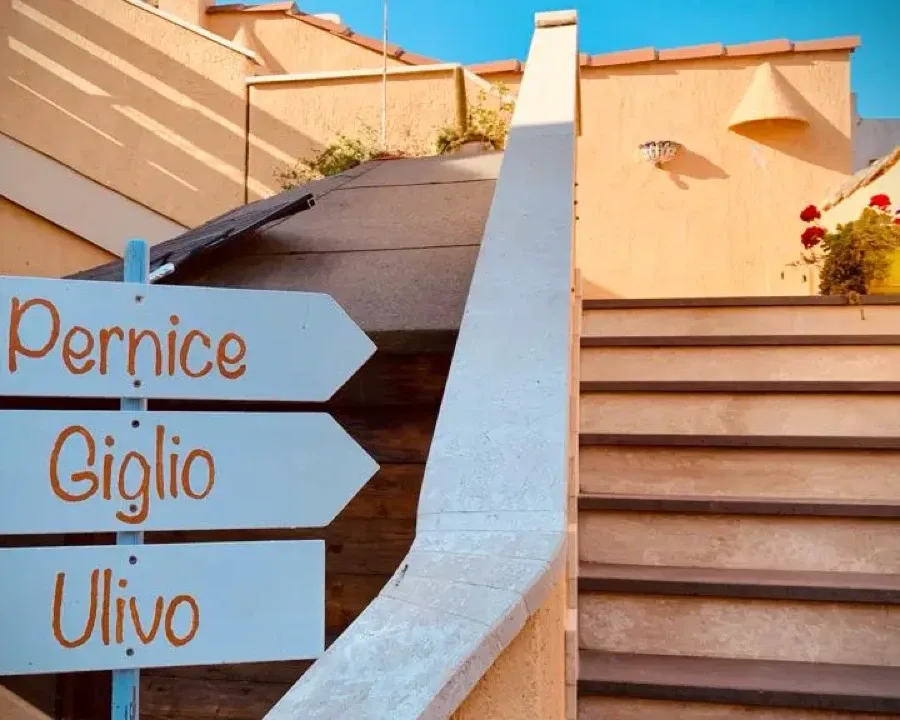 Scale - Ingresso
